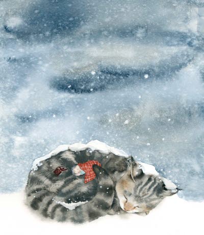 Kokongen_ illustration av Ane Gustavsson.jpg