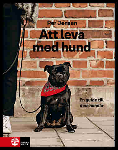 Att leva med hund - En guide till dina hundår.