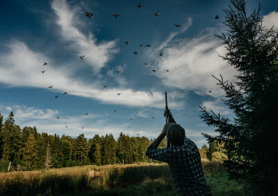 Kocken & jägaren5_jpg_9789127174474.jpg