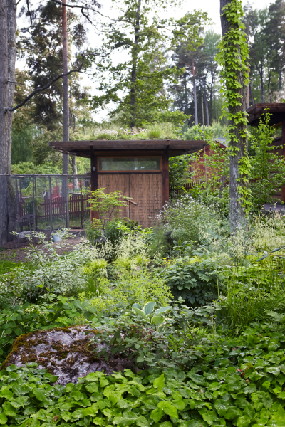 Inlagebild Min skogsträdgård av Marika Delin, Foto: Karin Björkquist