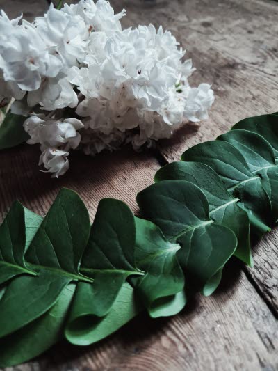 Inlagebild, Skogen & slöjden av Pernilla Wåhlin Norén. Foto: Pernilla Wåhlin Norén