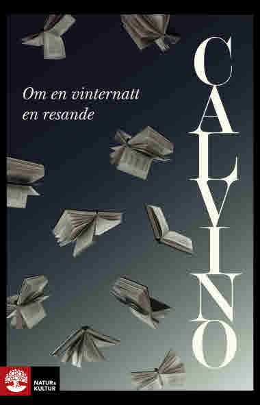 Om en vinternatt en resande av Italo Calvino
