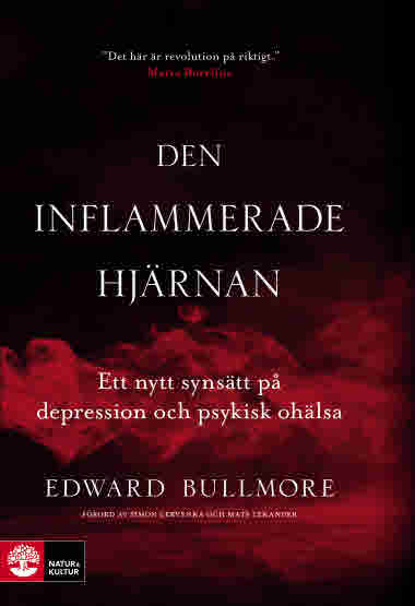 Den inflammerade hjärnan av Edward Bullmore