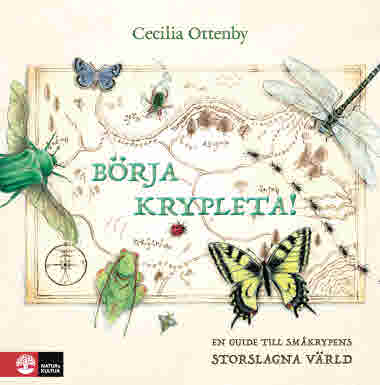 Börja krypleta! av Cecilia Ottenby