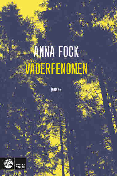 Väderfenomen av Anna Fock