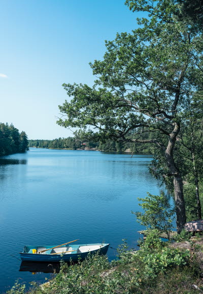 Trailrunning Sthlm, Foto Jonas Cramby