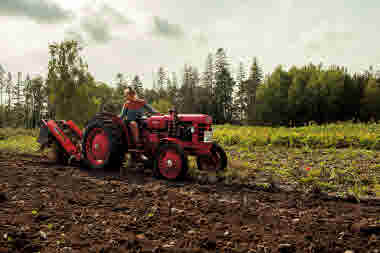 Inlagebild, Potatis av Stefan Ekengren, foto: Roland Persson