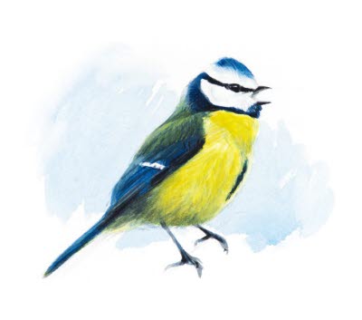 Bevingade vänner illustration av Axel Thorenfeldt