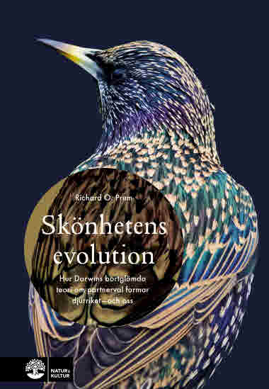 Skönhetens evolution av Richard O. Prum