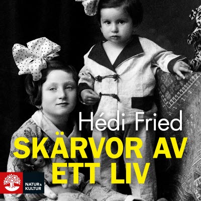 Skärvor av ett liv av Hèdi Fried