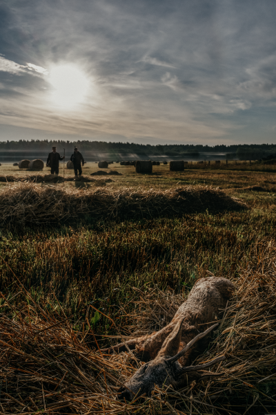 Kocken & jägaren4_tif_9789127174474.tif