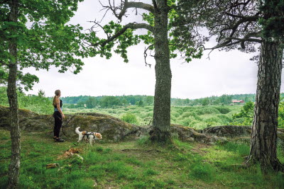 Inlagebild Trailrunning Sthlm av Annika Strandin Pers & Maja Lagerqvist, foto: Jonas Cramby