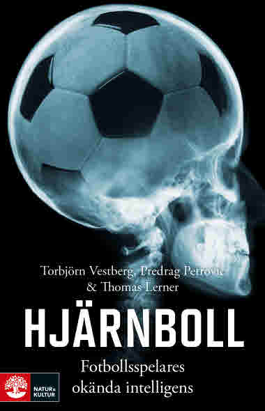 Hjärnboll