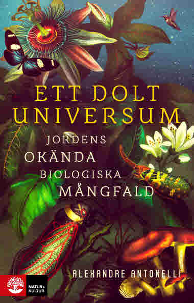 Ett dolt universum av Alexandre Antonelli