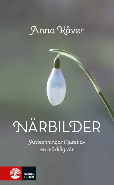 Närbilder