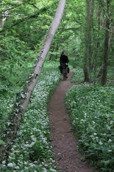 Långfärdscykling_Stenshuvud.tif