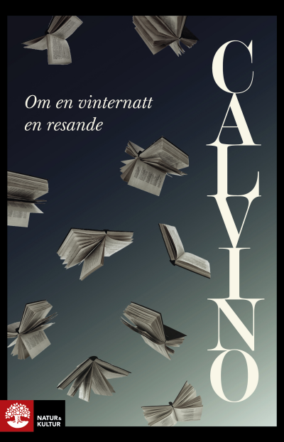 Om en vinternatt en resande av Italo Calvino