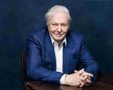 David Attenborough foto BBC