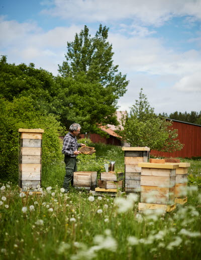 Peter Schneider Vingesköld2.jpg