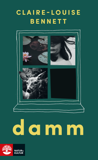 Damm av Claie-Louise Bennett