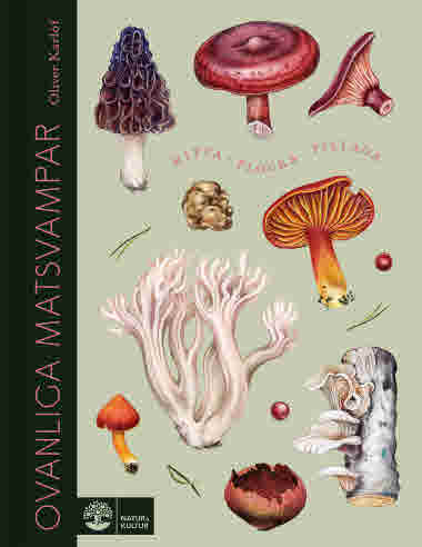 Ovanliga matsvampar av Oliver Karlöf