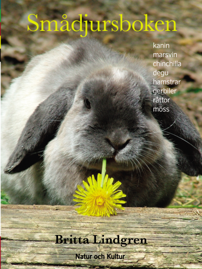 Smådjursboken  kaniner och gnagare