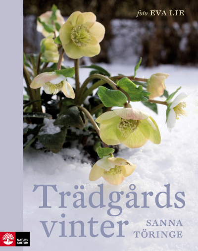 Trädgårdsvinter