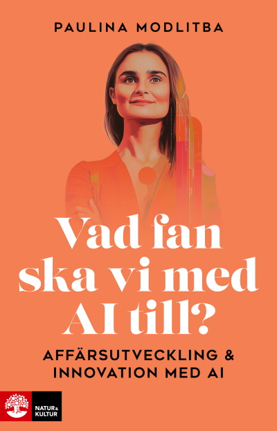 Vad fan ska vi med AI till?