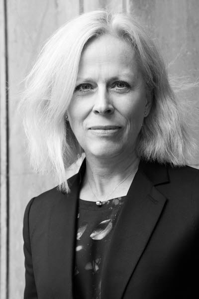 Maria Åkerlund, Teamutveckling i teori och praktik