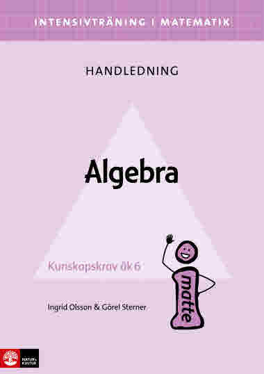 Intensivträning i matematik: Algebra handledning