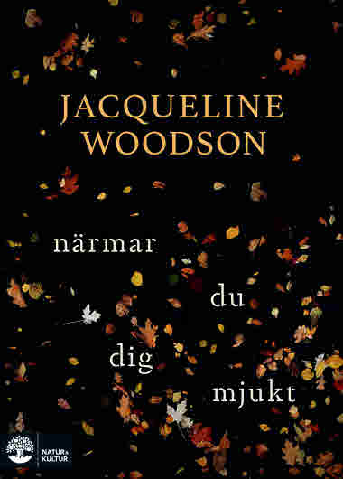 Närmar du dig mjukt  av Jacqueline Woodson - 9789127161122