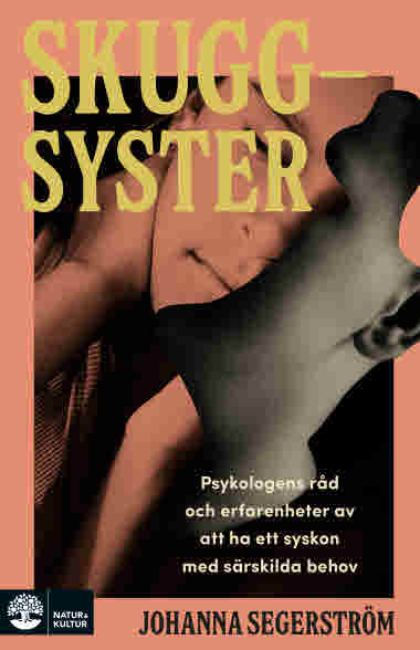 Skuggsyster