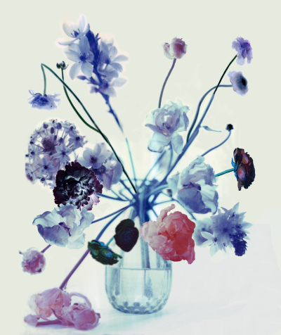 Att skapa naturlig parfym, ur boken Den parfymerade trädgården av Elin Unnes. 